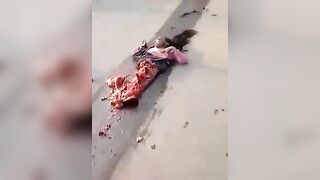 A Woman's Body Is Torn Apart And Scattered In The Street » Uncensored
