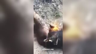 Another Suspected Thief Burned Alive » Uncensored Video