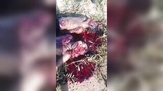 3 Dead Disfigured Bodies . Uncensored Videos. Murders, Execution