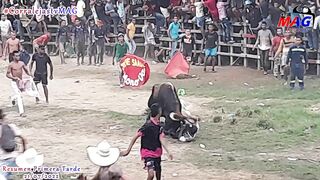 Bull Rips Off Arms And Beats Pancakes With Skewers