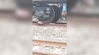 Dead Head Riding Under Train Wheels 