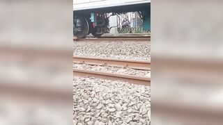 Dead Head Riding Under Train Wheels 