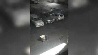 Drunk Woman Throws Rocks At Car, Causing Painful Karma TheYN