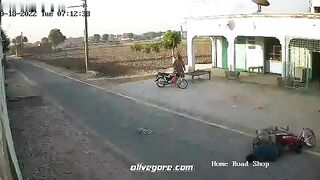 A Bird Attacks A Biker. Uncensored Videos. Murders,