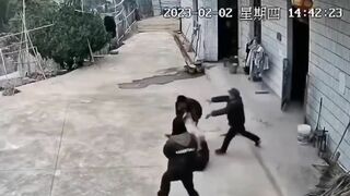 Old Man Hit In The Head With Stick