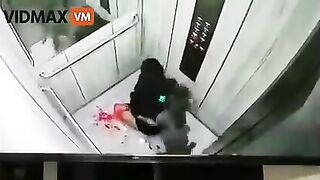 Shocking Video Shows Woman Brutally Attacked