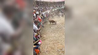 Go To Hell, Bastard, This Man Fell Down In Front Of The Bull And Died.