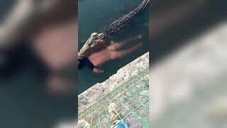 Giant Crocodile Attacks And Kills Humans In Mexico (New Angle)