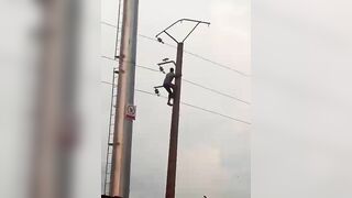 Idiot Climbs Telephone Pole To Catch A Pigeon 