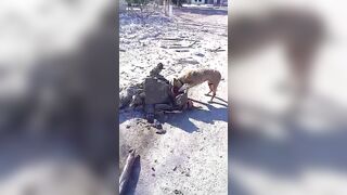 A Dog Eats The Face Of A Murdered Ukrainian Nazi» Uncensor