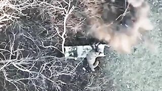 Multiple Drones Lob Grenades At Wounded YN RU Soldier