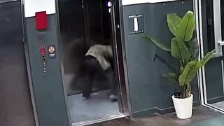 Seattle Man Storms Building And Attacks Woman In Elevator