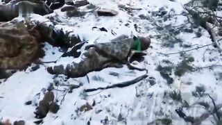 Several Dead Ukrainian Soldiers 