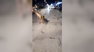 This Idiot Girl Tried To Do A Handstand On Her Hands In The Street, But W
