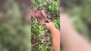 Human Traffickers Brutally Execute In Brazilian Jungle YN