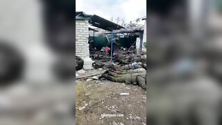 Ukrainian Nazis Execute Captured Russian Soldiers 
