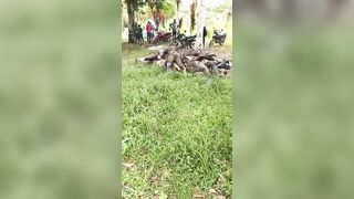 A Turf War Between Guerrilla Groups In Southern Colombia Leaves 18 Dead.
