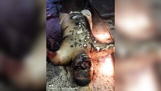Cellphone Video Of A Naked Man Being Lynched