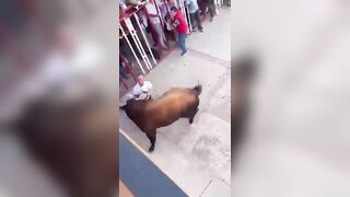 Dad Dies After Gored By 84th Bull In Front Of Horifi