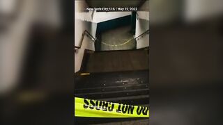 New York Man Randomly Kills Subway Passengers In Broad Daylight