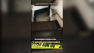 New York Man Randomly Kills Subway Passengers In Broad Daylight