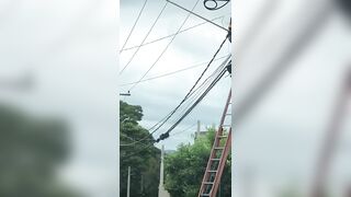 The Worker Was Electrocuted And Died In Agony After A Failed Attempt.