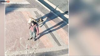 Minneapolis Man Appears To Have Let His Pit Bull Loose On Purpose