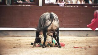 Mexican Matador Arturo Giglio Gored By Bull In Spain