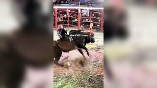 Rodeo Participant Falls And Is Trampled To Death