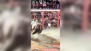 Rodeo Participant Falls And Is Trampled To Death