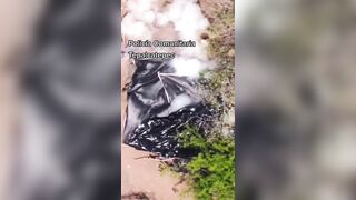 Shocking Video Of Drone Attack On Michoacán Municipal Police