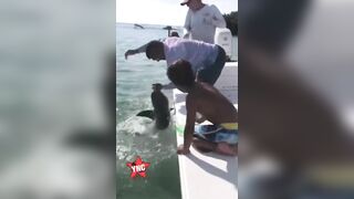 Shark Bites Fisherman Who Tries To Catch Him And Rips Him Apart