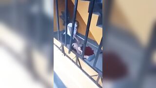 Thief Cried Like A Bitch After Falling From Third Floor. Time