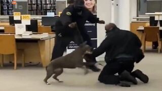 Man Becomes Unresponsive As His Dog Clings To A Security Guard In An Attempt To Kill Him