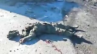 Video From Northern Kharkiv Reportedly Shows Destroyed Russians