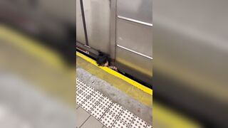 New York Subway TheYN Woman Pinned Between Train And Platform