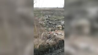 Corpses Of Ukrainian Soldiers Are Everywhere.