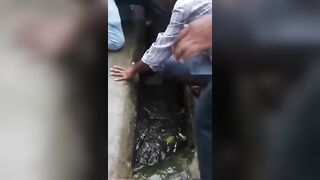 Drunk Man Fell Directly Into The Sewer