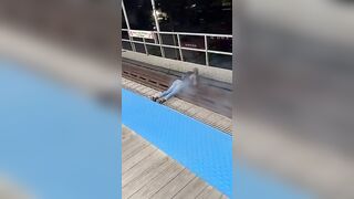 Chicago Subway Closures