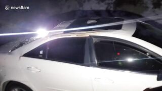 A California Couple Survived After Their Car Was Crushed By A 60-meter-high Tree