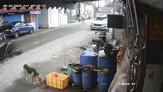 One Less Street Kid In The World