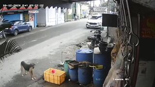 One Less Street Kid In The World