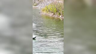 A Person Drowns While Unsuspecting People Watch.