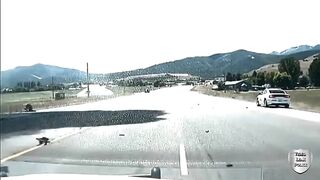 Utah Highway Patrol Officer's Dashcam Captures Fatal Head-on Collision