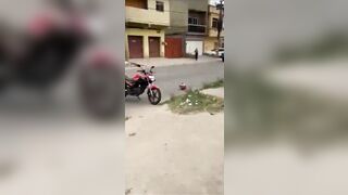 Traffic Accidents