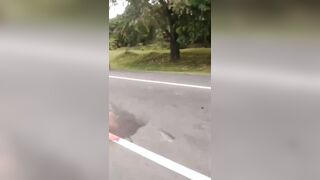Street Fight