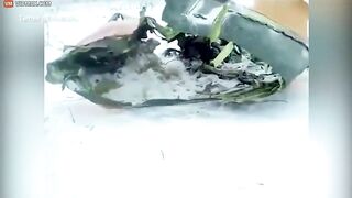 Russian Plane Crash Kills All 71 On Board
