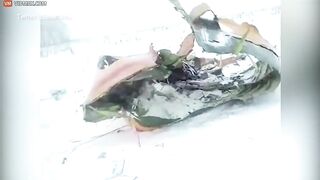 Russian Plane Crash Kills All 71 On Board