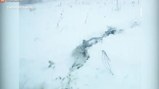 Russian Plane Crash Kills All 71 On Board