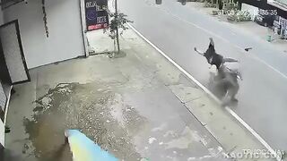 blindass biker all in thic guy from behind